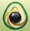 Aavokado
